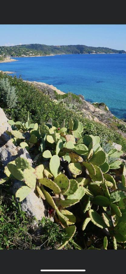 La Dolce Vita Mazet A Gassin Golfe De Saint Tropez מראה חיצוני תמונה
